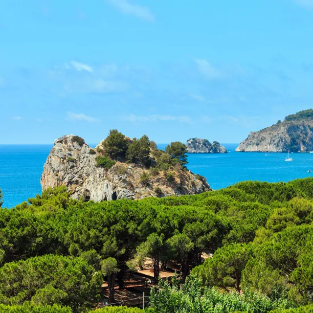 Cilento